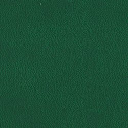Stampa la tua tesi online Verde Chiaro