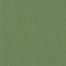 Stampa la tua tesi online Verde Salvia