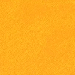 Stampa la tua tesi online Giallo